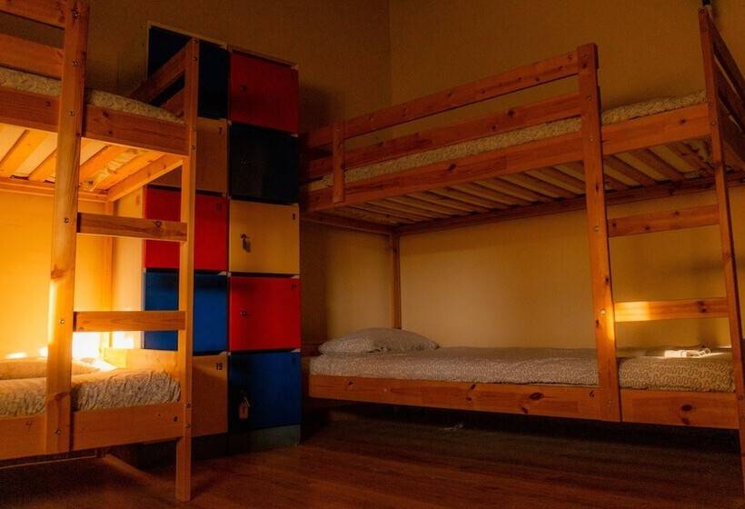 Twin Fin Surf Camp   Hostel