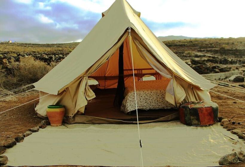 Twin Fin Surf Camp   Hostel