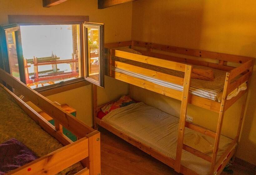 Twin Fin Surf Camp   Hostel