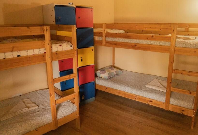 Twin Fin Surf Camp   Hostel