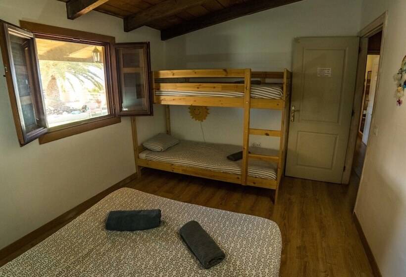 Twin Fin Surf Camp   Hostel