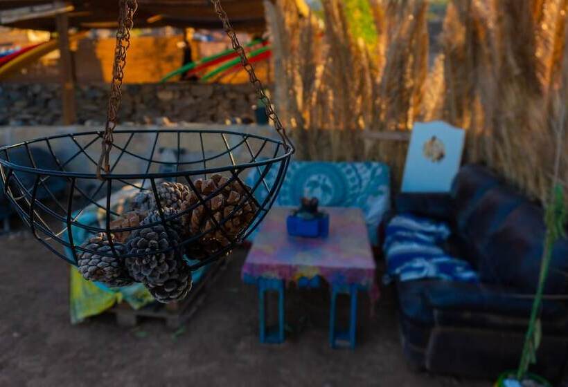 Twin Fin Surf Camp   Hostel