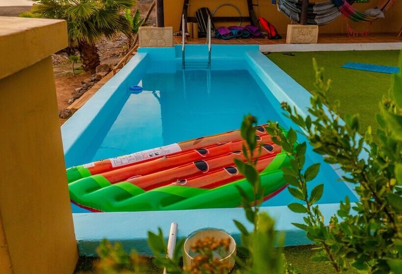 Twin Fin Surf Camp   Hostel
