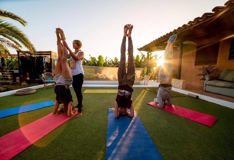 Twin Fin Surf Camp   Hostel