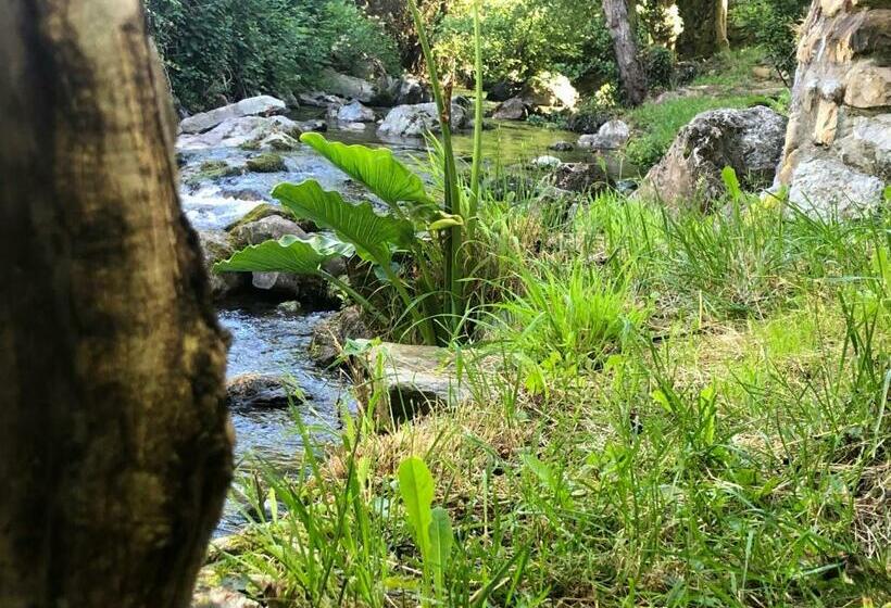 Villa Palatina Superior Hostel