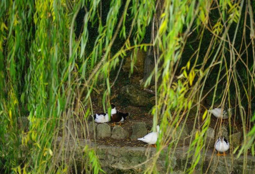 Vivienda Rural Rio Cerezuelo