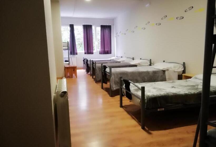 Alma Del Camino   Rooms & Albergue   Hostel