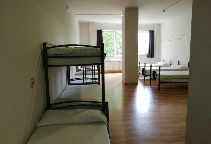 Alma Del Camino   Rooms & Albergue   Hostel