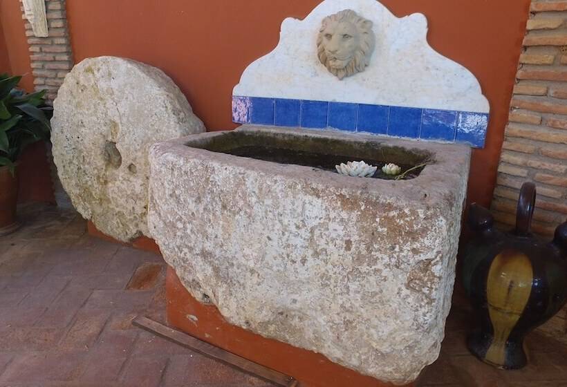 تختخواب و صبحانه Finca La Vida Loca