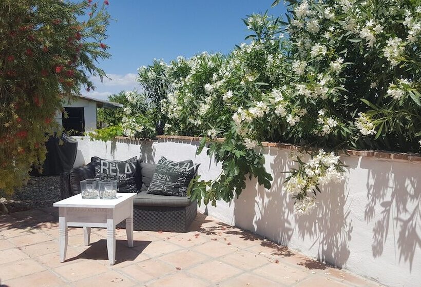 ベッドアンドブレックファースト Finca Rayo Del Sol