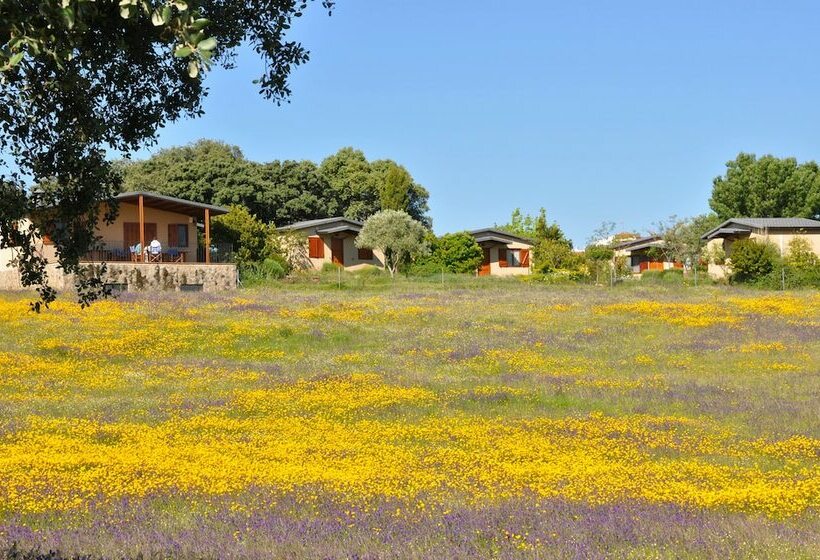 צימר La Cerca Del Alcornoque