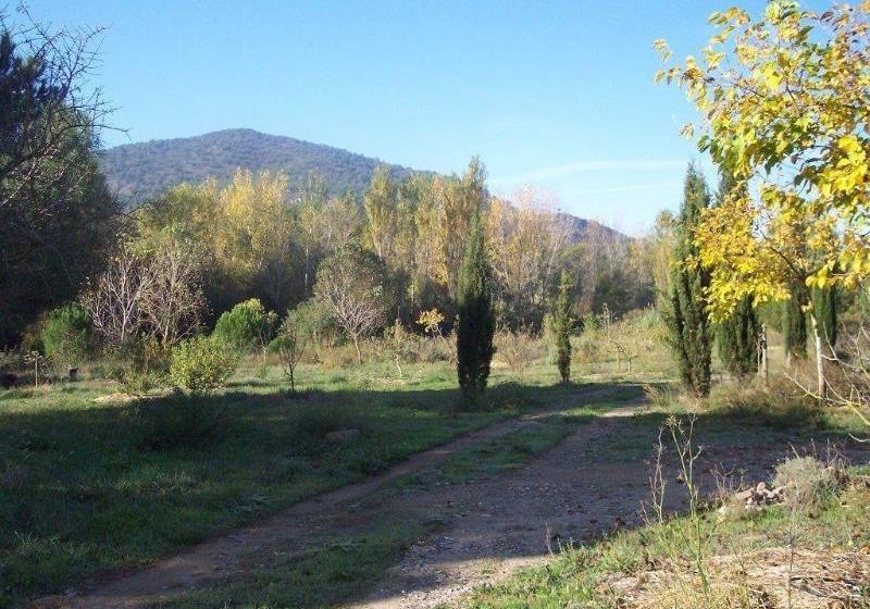 住宿加早餐  Maset De Les Talaveres
