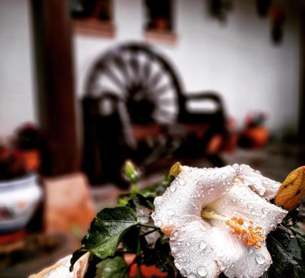 민박 Posada Marina