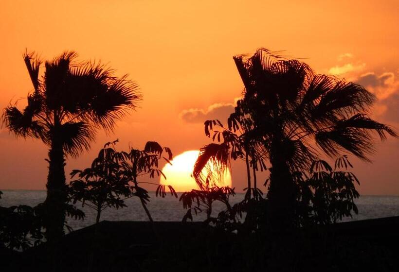 تختخواب و صبحانه Twenty Seven Degrees Las Palmas