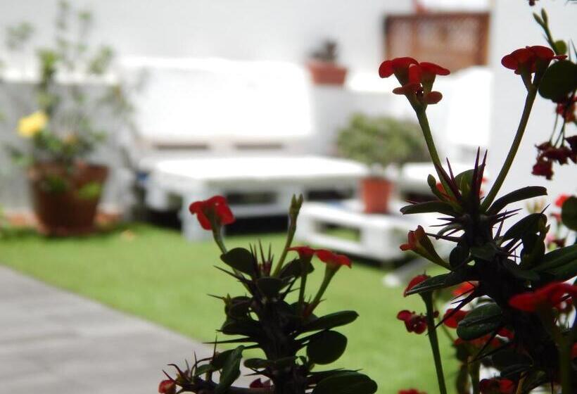 تختخواب و صبحانه Twenty Seven Degrees Las Palmas