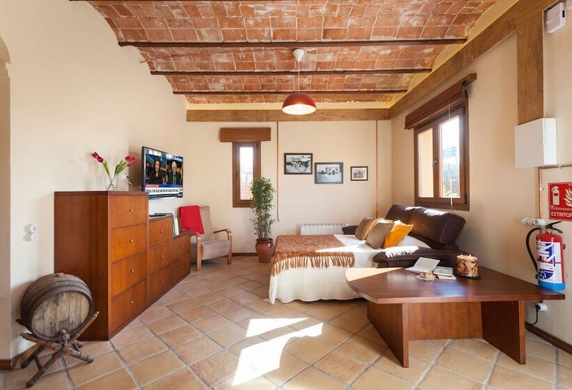 Cal Gaig Apartaments