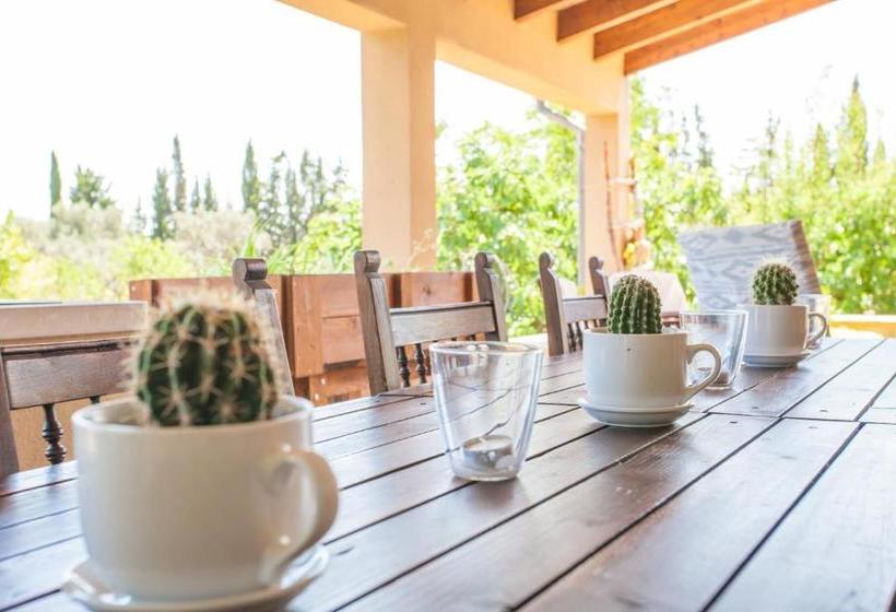 Sa Vinyota De Can Piti