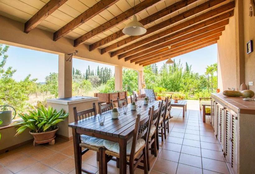 Sa Vinyota De Can Piti