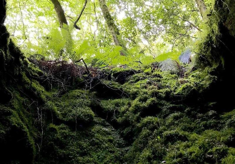 Complejo Rural Casona De Labrada