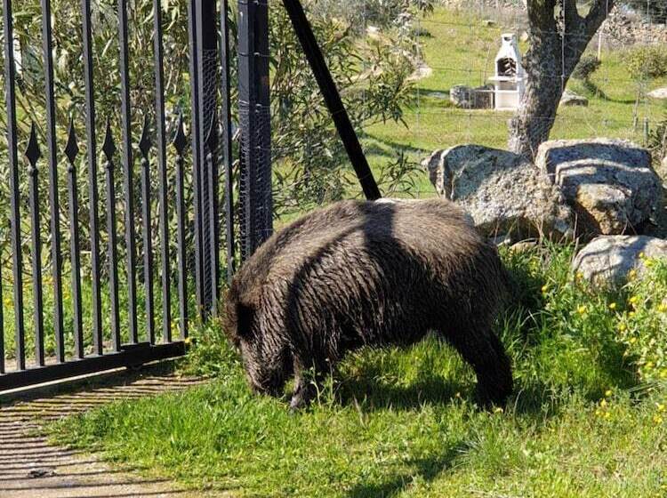 פונדק El Huesped Del Sevillano