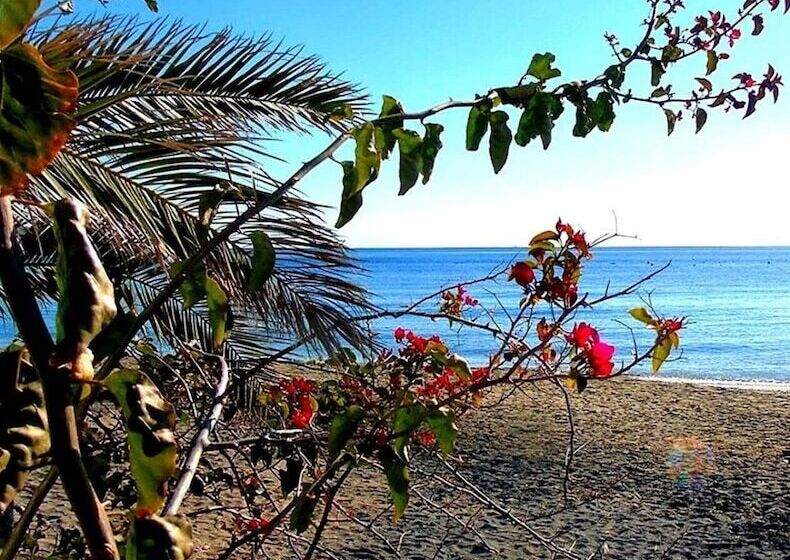 פונדק La Palmera. El Amanecer En El Parque Natural