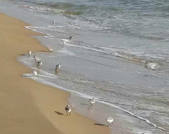 여관 Pensión  Mari Loli   Oficial