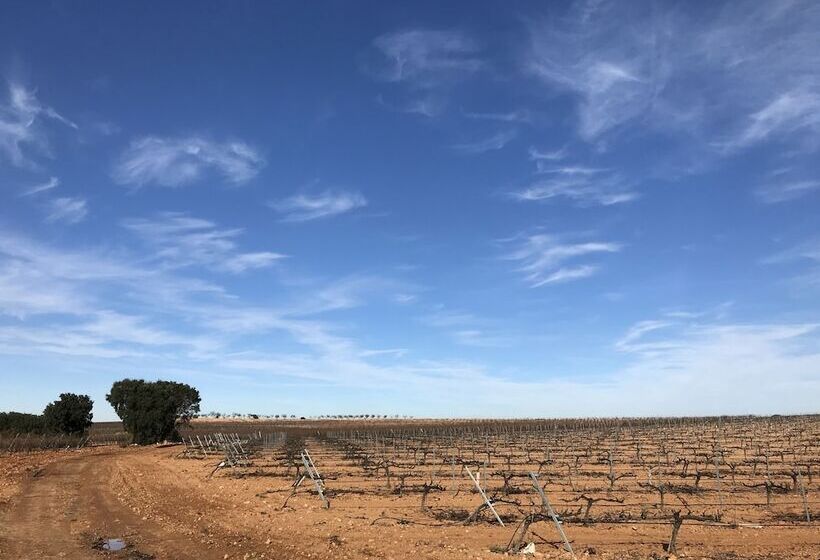 Hostal Rural Los Girasoles De Iniesta