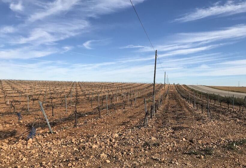 Hostal Rural Los Girasoles De Iniesta