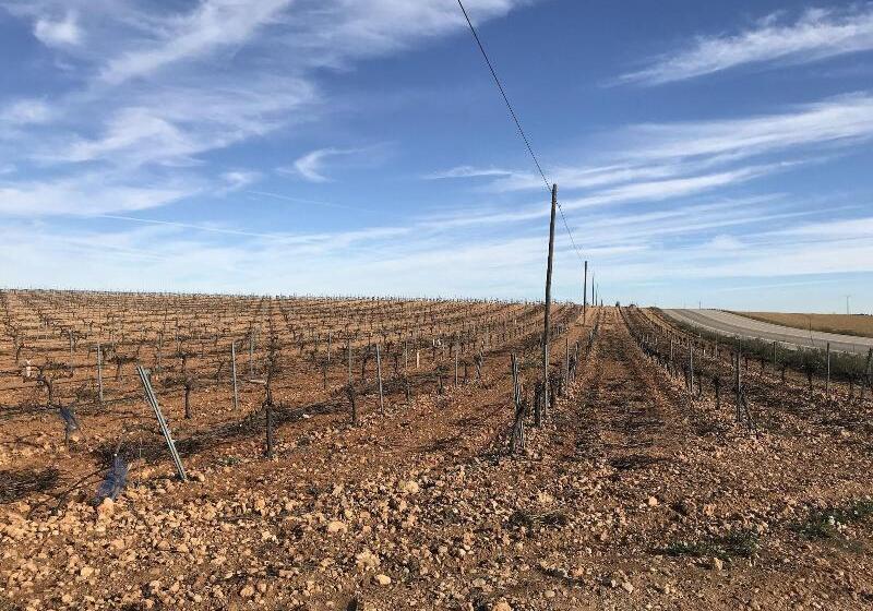 Hostal Rural Los Girasoles De Iniesta