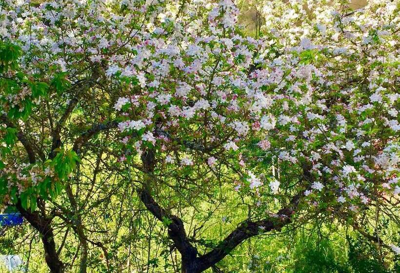 簡易ホテル Rural Nova Ruta