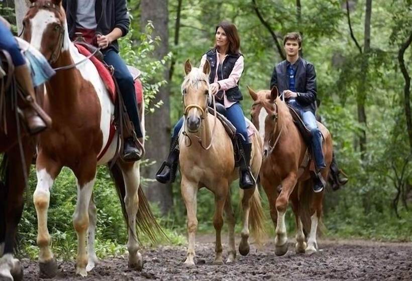 فندق A Cantaruxa Maruxa Turismo Rural