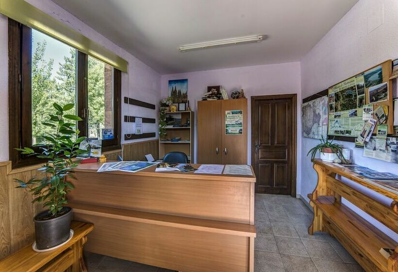 Отель Bungalows Puerta De La Demanda