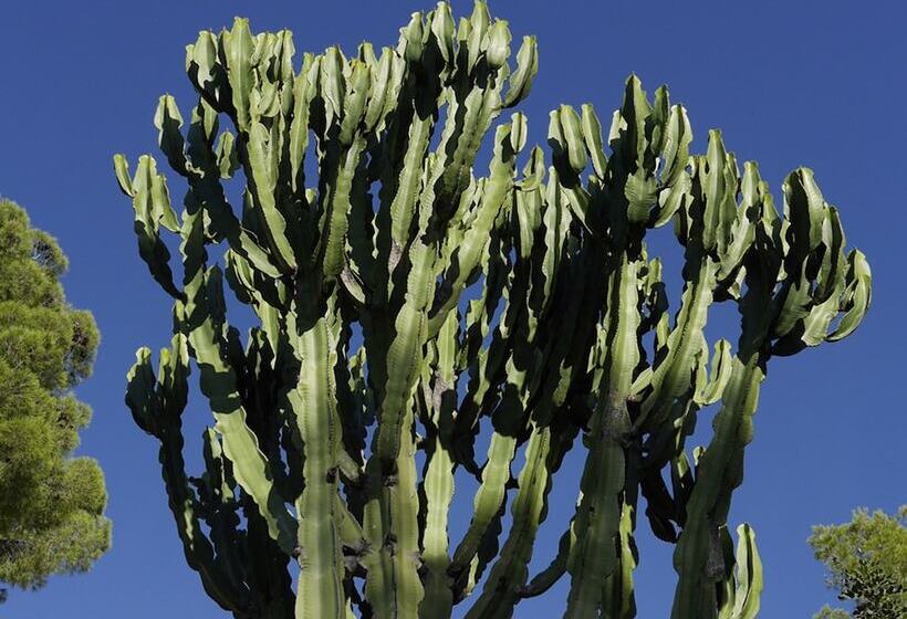 호텔 Camping Azahar