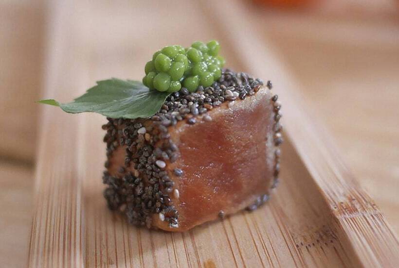 호텔 Camping Azahar