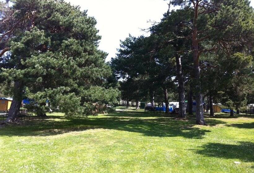 ホテル Camping El Concurso