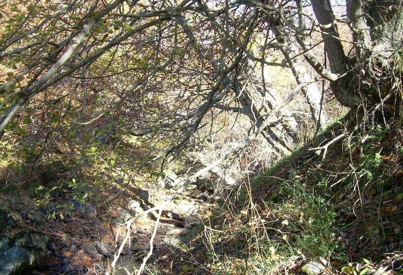 هتل Casa Grabelon