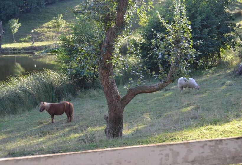 ホテル Casona Dos Lagos