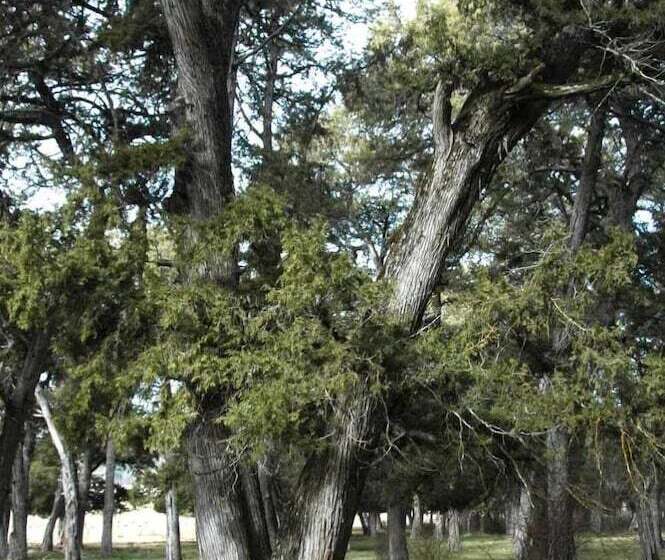 酒店 C.t.r. Camino De La Fuentona