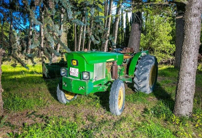 Отель Finca Micalas