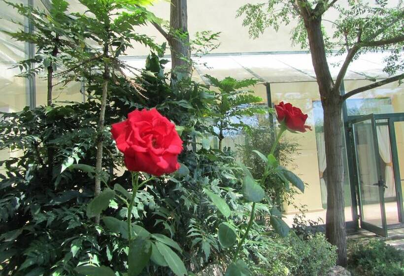 בית מלון כפרי Lo Racó D En Carles