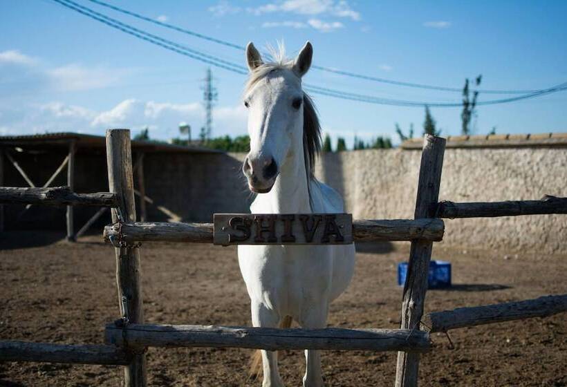 Mas Taniet Hotel Rural