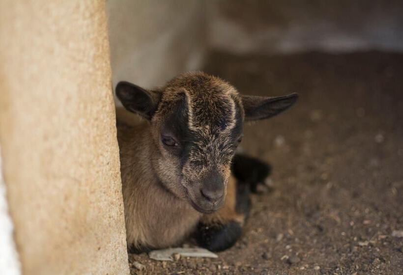 Mas Taniet Hotel Rural