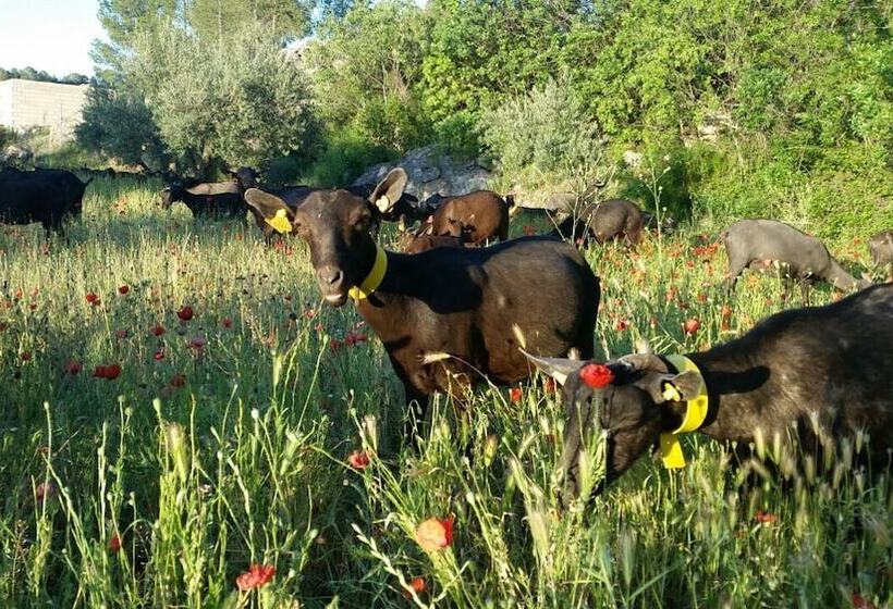 فندق ريفى Agroturismo La Artezuela