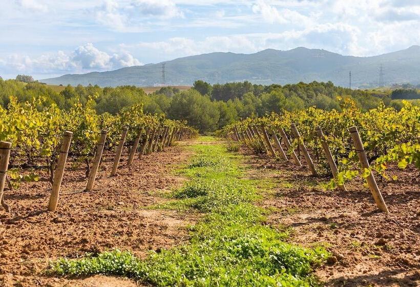 Сельский отель Masia Can Canyes & Spa