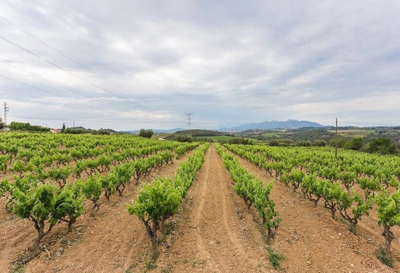 Сельский отель Masia Can Canyes & Spa