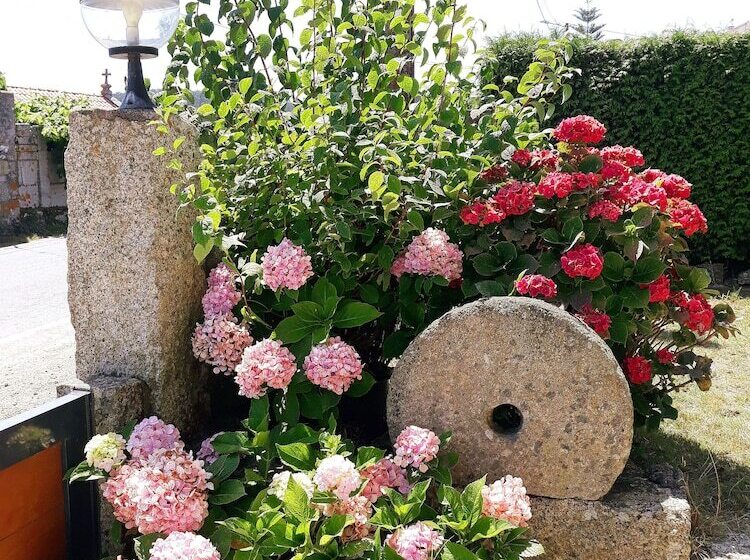 Pensión Casa Angelina