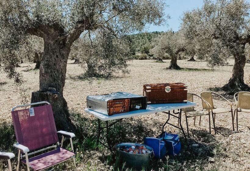 بنسيون Casa Boquera Resort & Winery