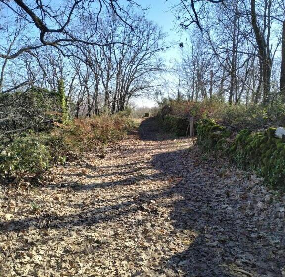 بنسيون Casa Rural La Picota