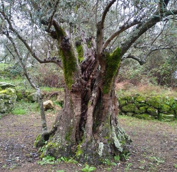 بنسيون Casa Rural La Picota