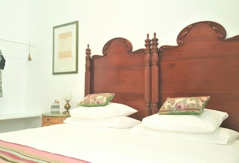 פנסיון Los Canaritos